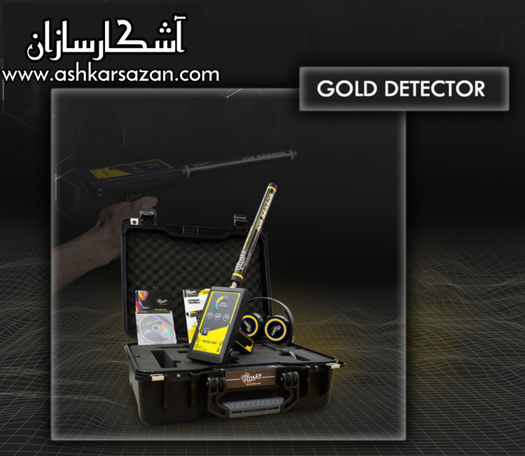 GOLD DETECTOR