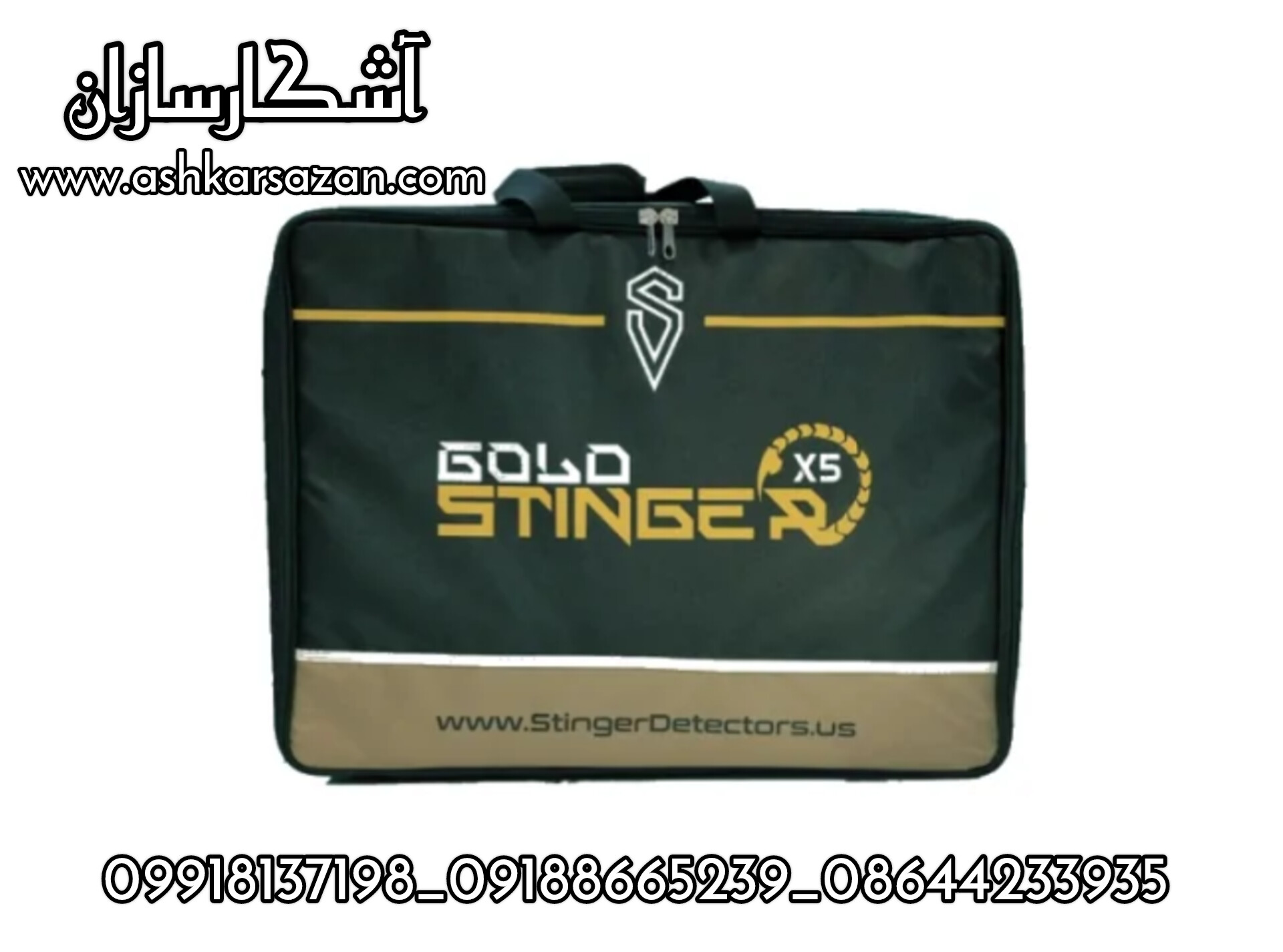 نقطه زن آمریکایی ایکس فایو