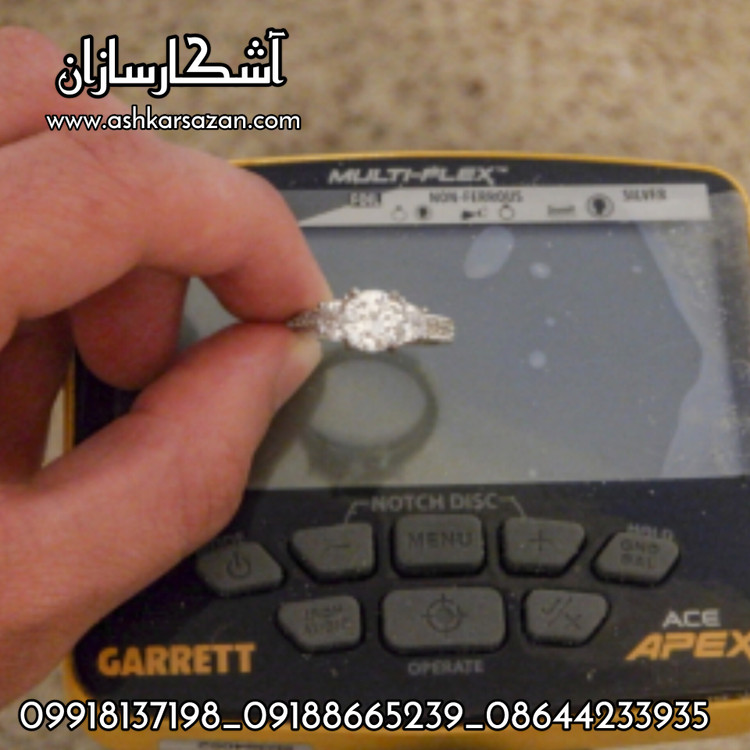 گنجیاب آمریکایی