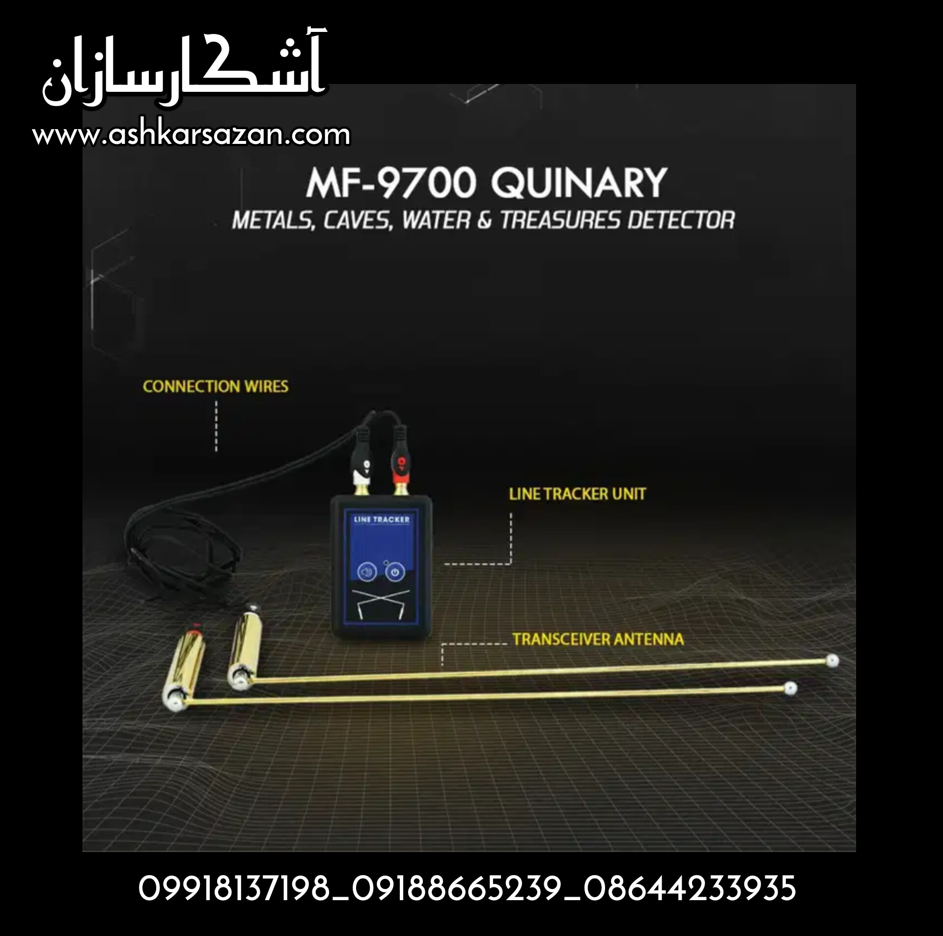 گنجیاب آمریکایی