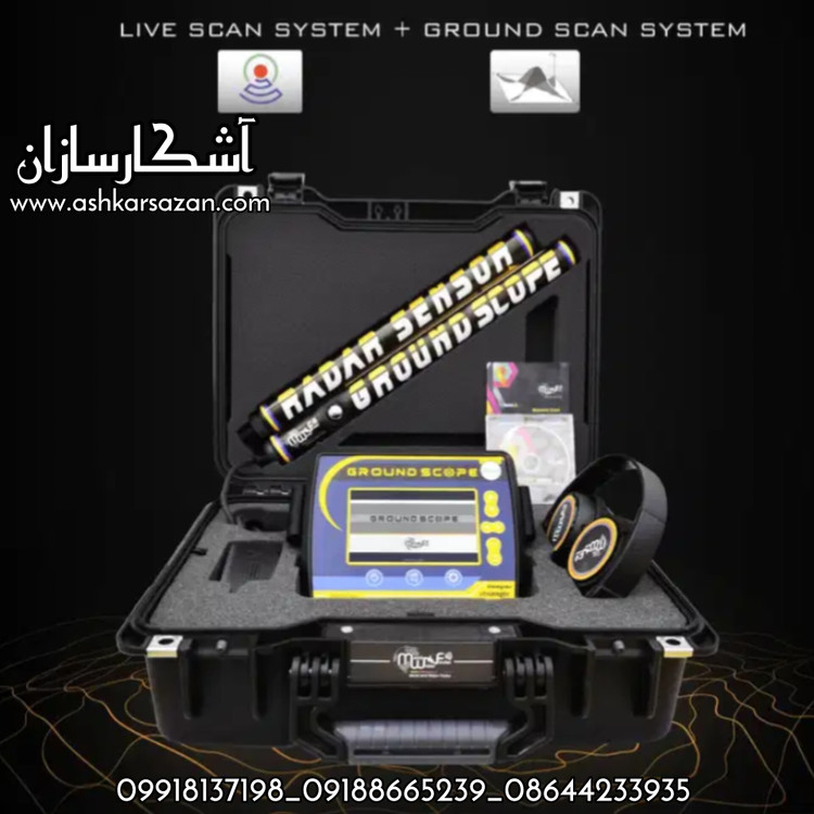 گنجیاب آمریکایی