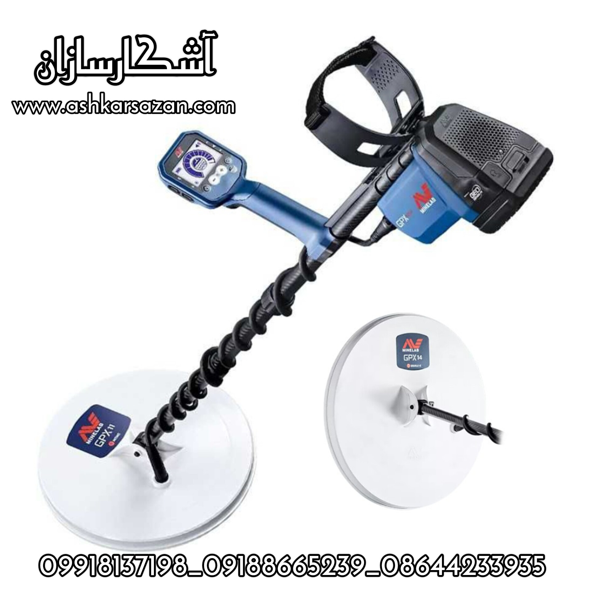 گنجیاب استرالیایی