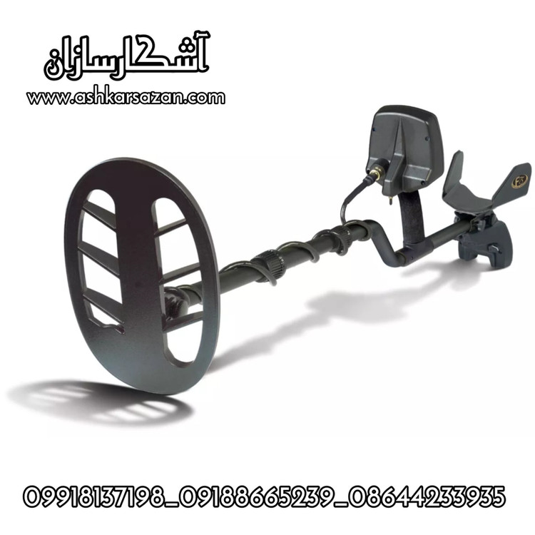 نقطه زن وی ال اف