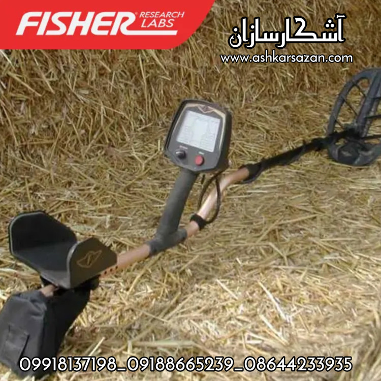 طلایاب آمریکایی